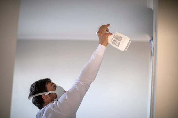 Best Mold Remediation  in California, PA