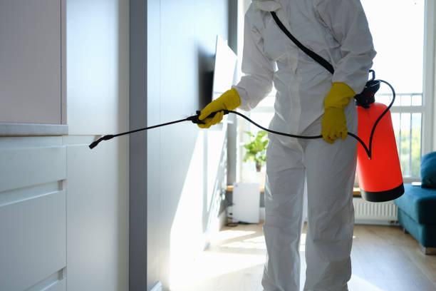 Best Crawl Space Mold Removal  in California, PA